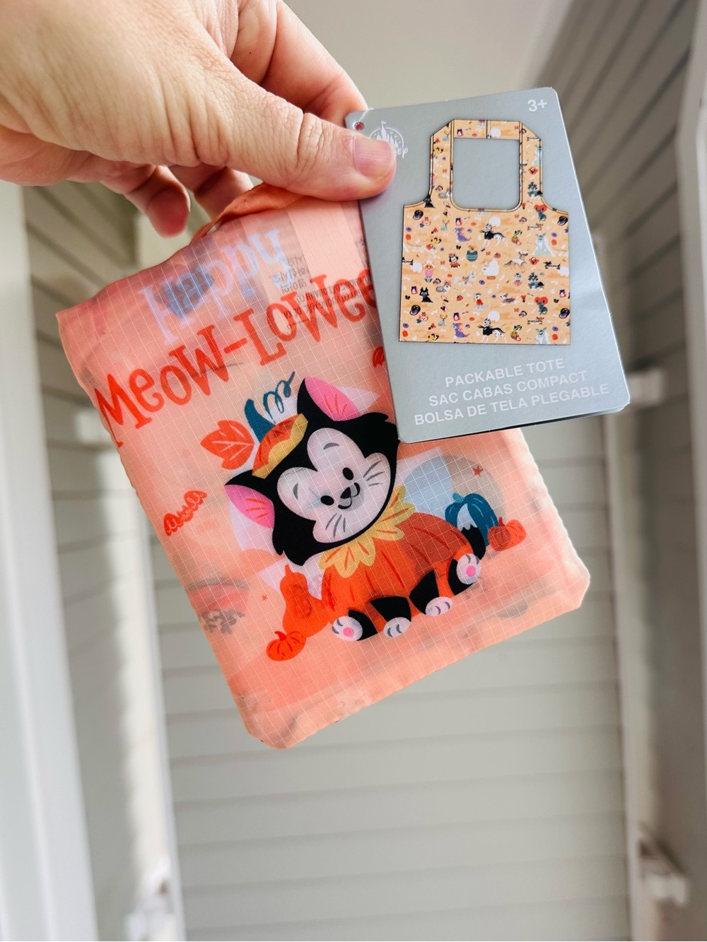 Disney Halloween Pet Costume Cat and Dog Collection Packable Tote Bag